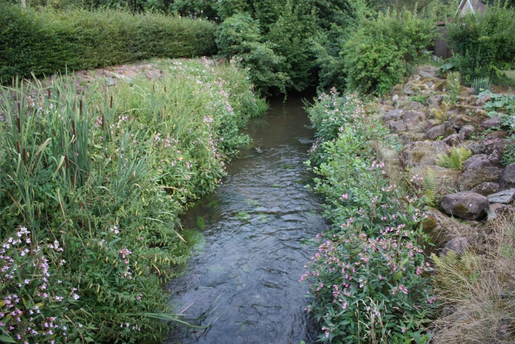 Gite Du Moulin Uhrwiller Екстериор снимка
